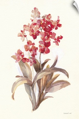 Autumn Orchid I
