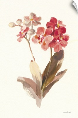 Autumn Orchid II