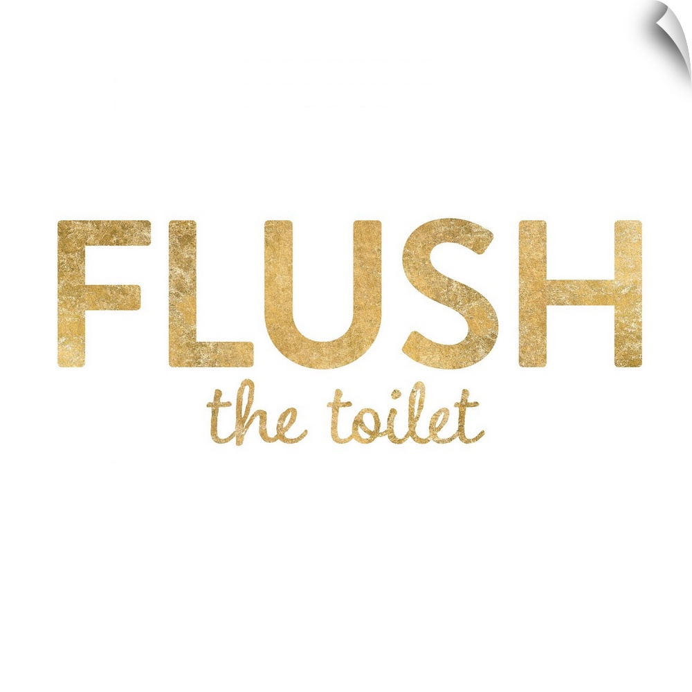 "Flush the Toilet" written in metallic gold on a solid white background.