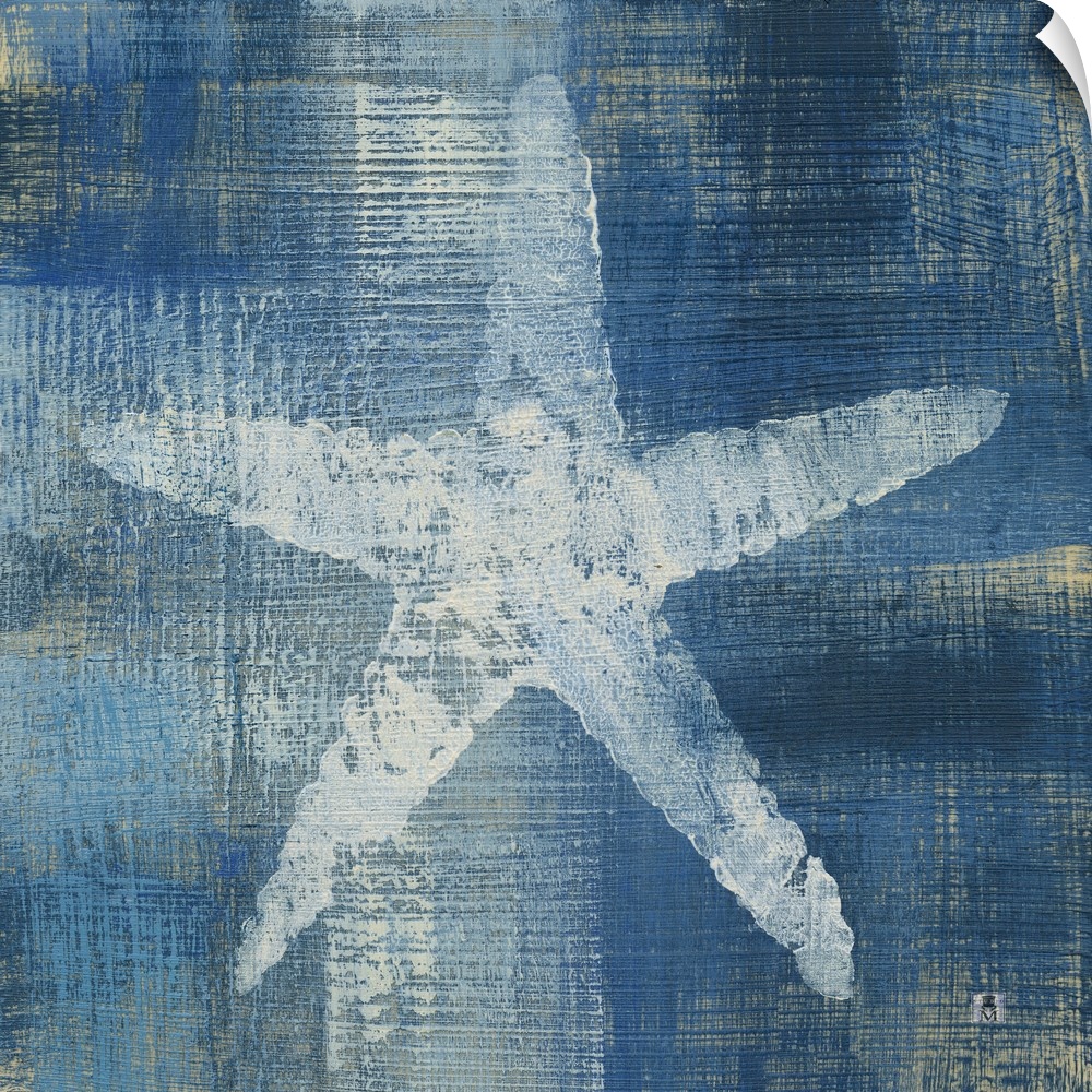 Square artwork of a white starfish among a white and blue brushed finish.