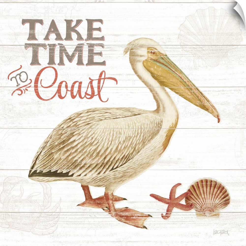 Square beach decor with an illustration of a pelican on a white wooden background and "Take Time to Coast" written in the ...