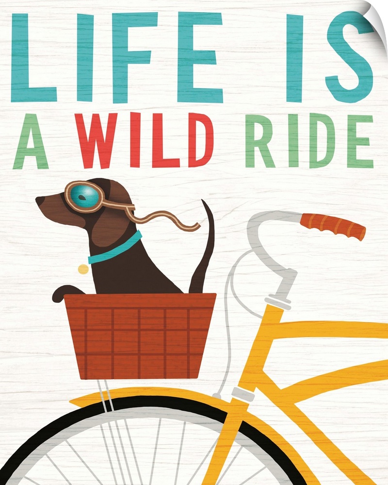 Illustration of a dachshund riding in the basket of a yellow bicycle with goggles on and the phrase "Life is a Wild Ride" ...