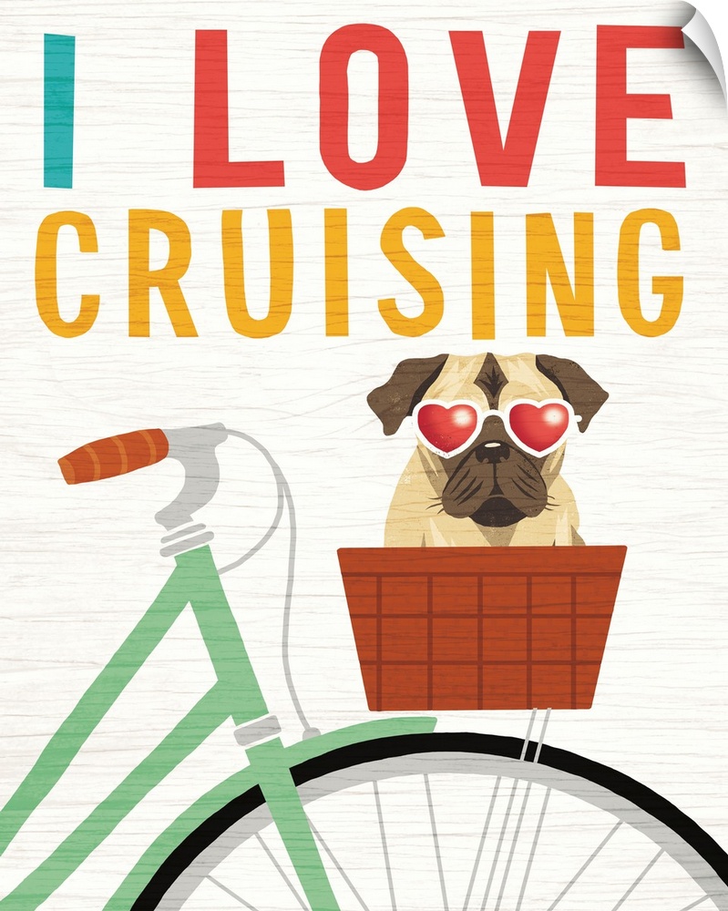 "I Love Cruising" illustration of a pug in the basket of a bicycle wearing heart shaped sunglasses on a white wood grain b...