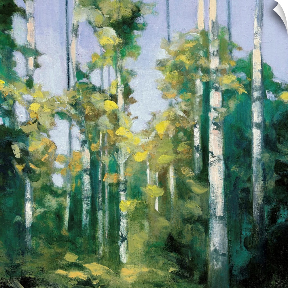 Contemporary artwork of a forest of birch trees with green leaves.