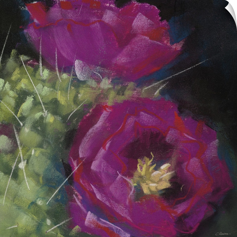 A square contemporary painting of purple blooms on a cactus with a black background.