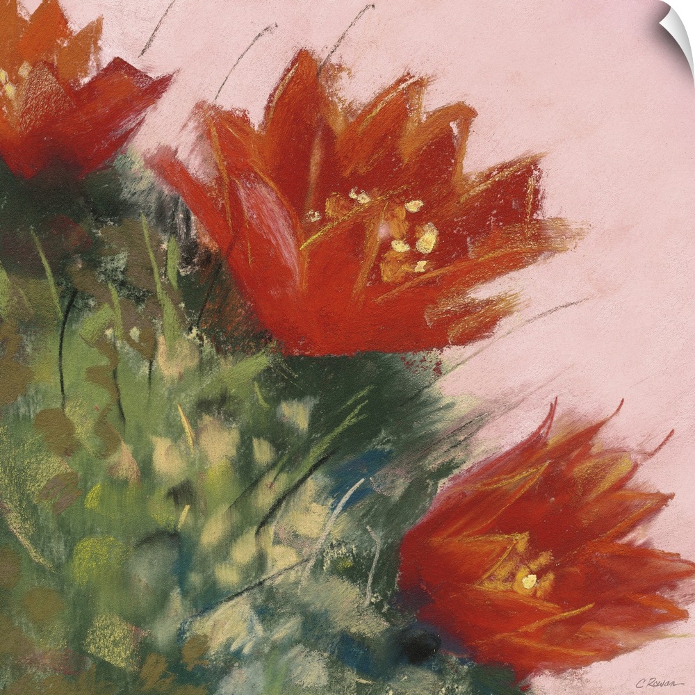 A square contemporary painting of orange blooms on a cactus with a pink background.