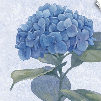 Blue Hydrangea IV