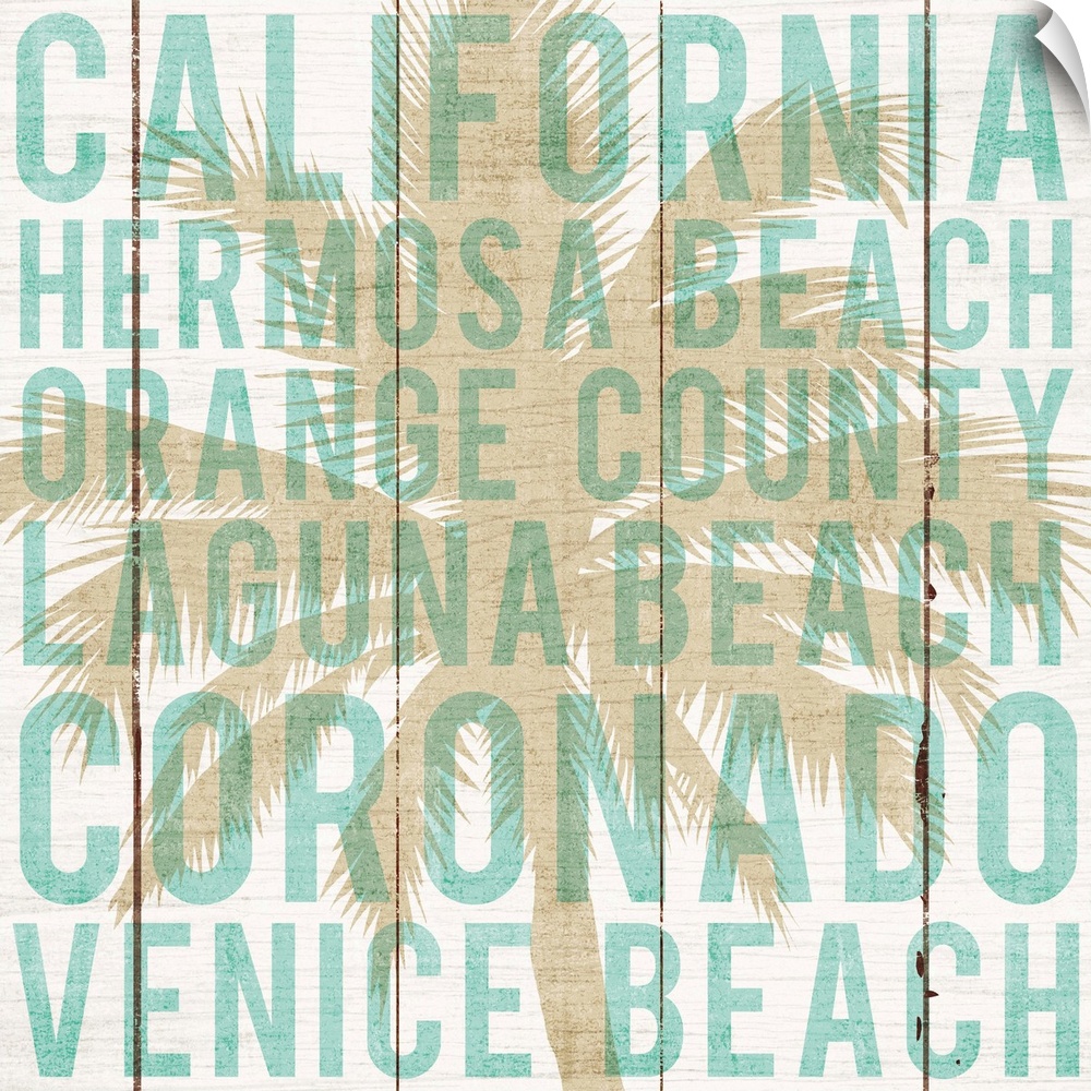 California- Hermosa Beach- Orange County- Laguna Beach- Coronado- Venice Beach