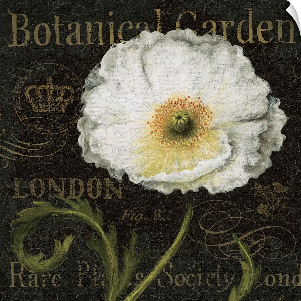 Contemporary artwork of a white flower against a text background.