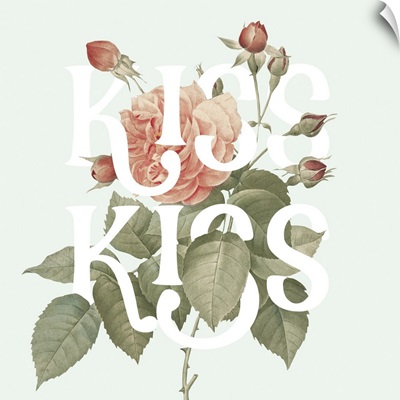 Botanical Pink Rose I Kiss