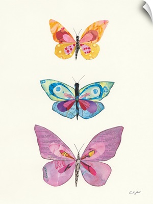 Butterfly Charts III