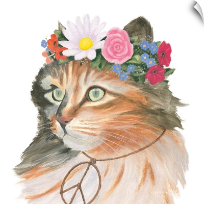 Cattitude I