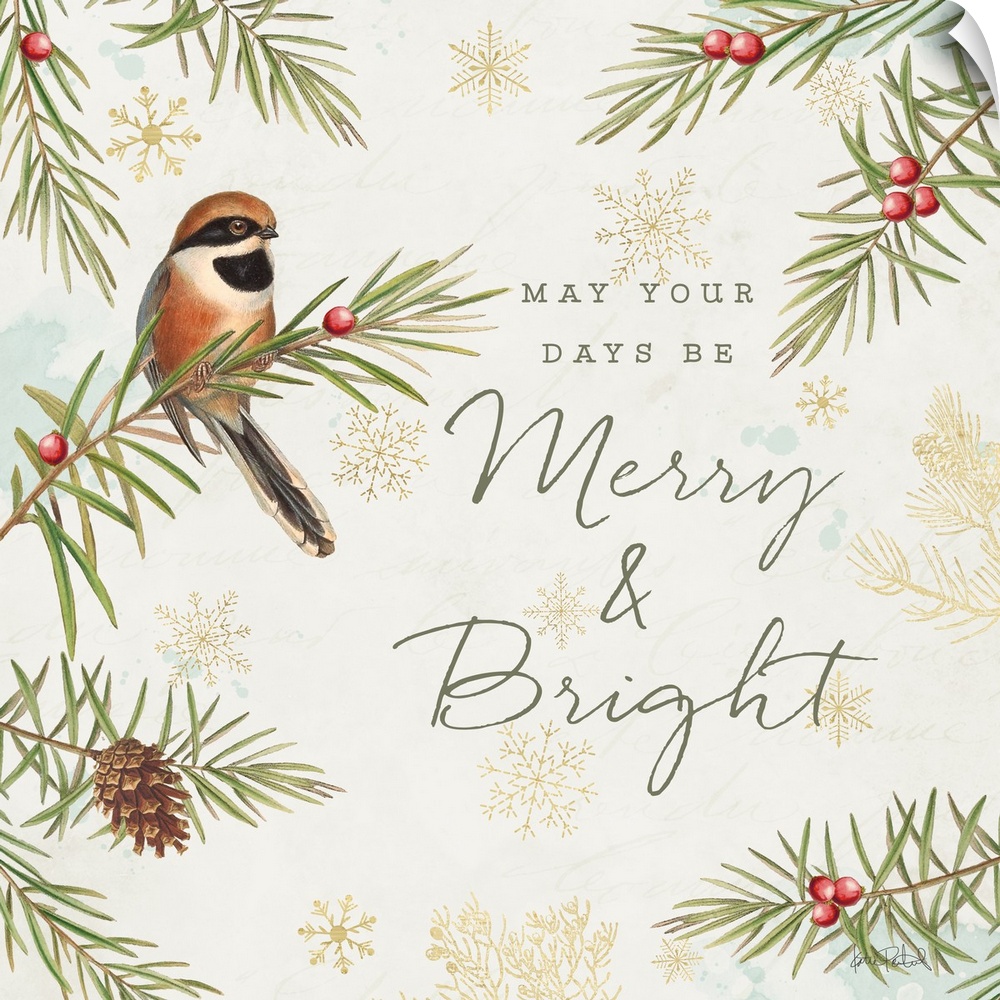 A square holiday design of a bird perched on a pine branch with the text "May your Days Be Merry & Bright" on a beige back...