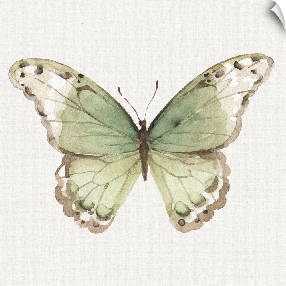 Contemporary artwork of a butterfly with green wings.