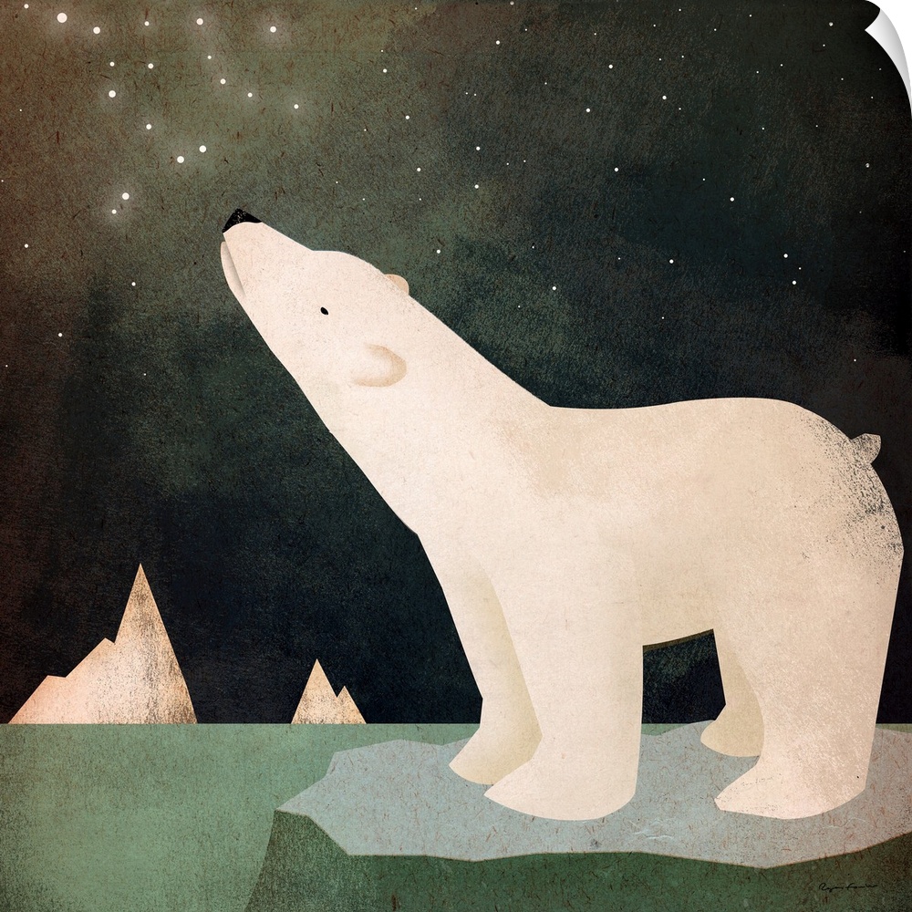 A polar bear on an ice floe looking up at stars in the sky.