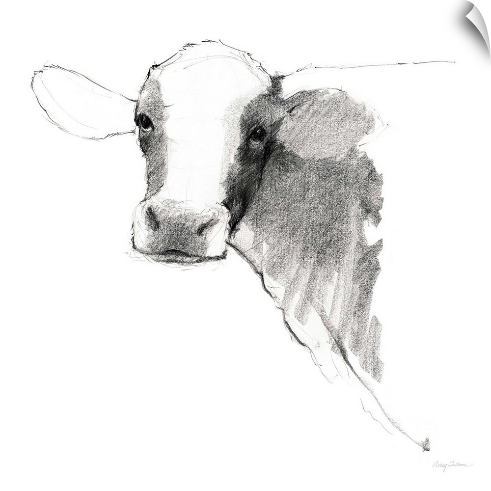 Black and white illustration of a cow on a solid white, square background.