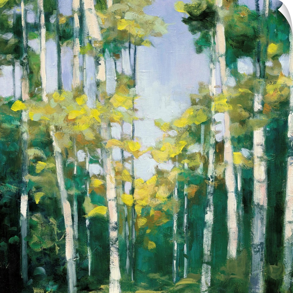 Contemporary artwork of a forest of birch trees with green leaves.