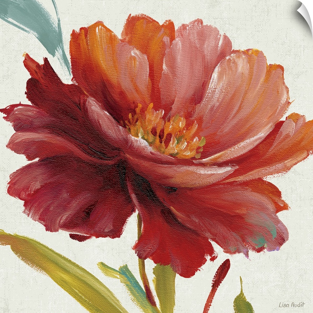 Big, square floral painting of a large, vibrant bloom on a neutral background.  Painted with thick, flowing brushstrokes t...