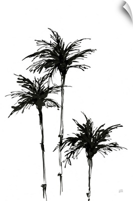 Dark Palms II