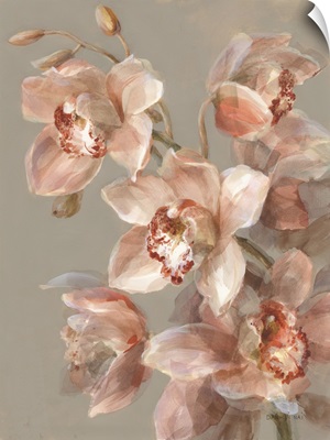 Delicate Orchid II