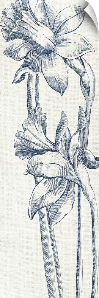 Vintage stylized illustration of flowers.