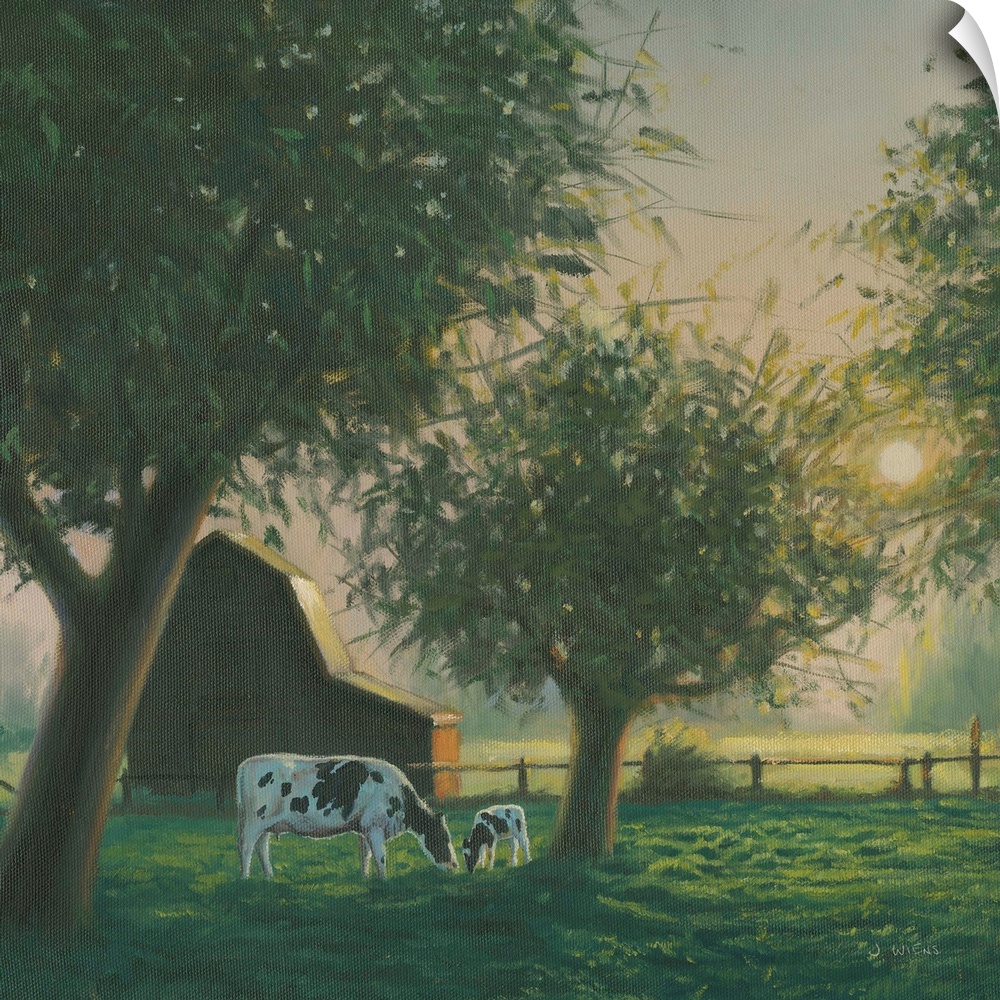 Square painting of a farm scene with grazing cows and a barn at sunset.