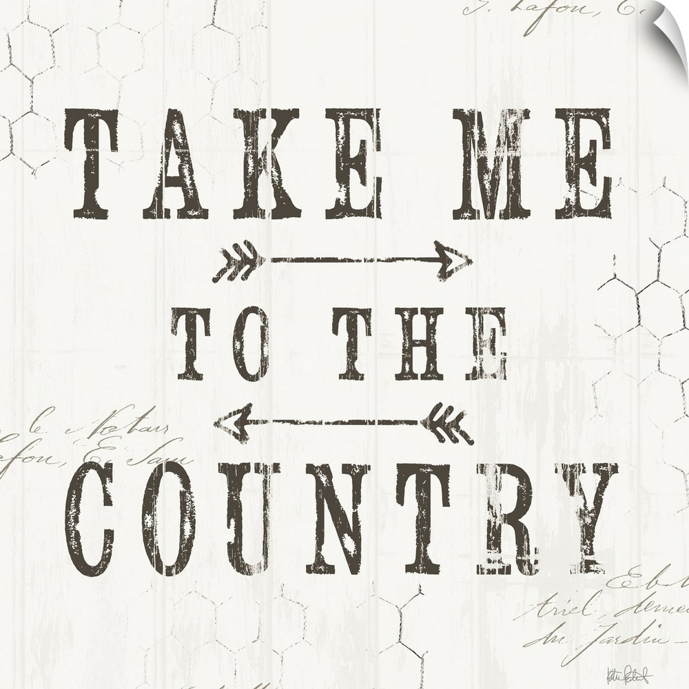 A distress design of "Take Me To The Country" with chicken wire in the background.