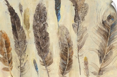Feather Study
