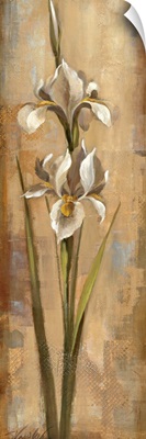 Floral Grace II