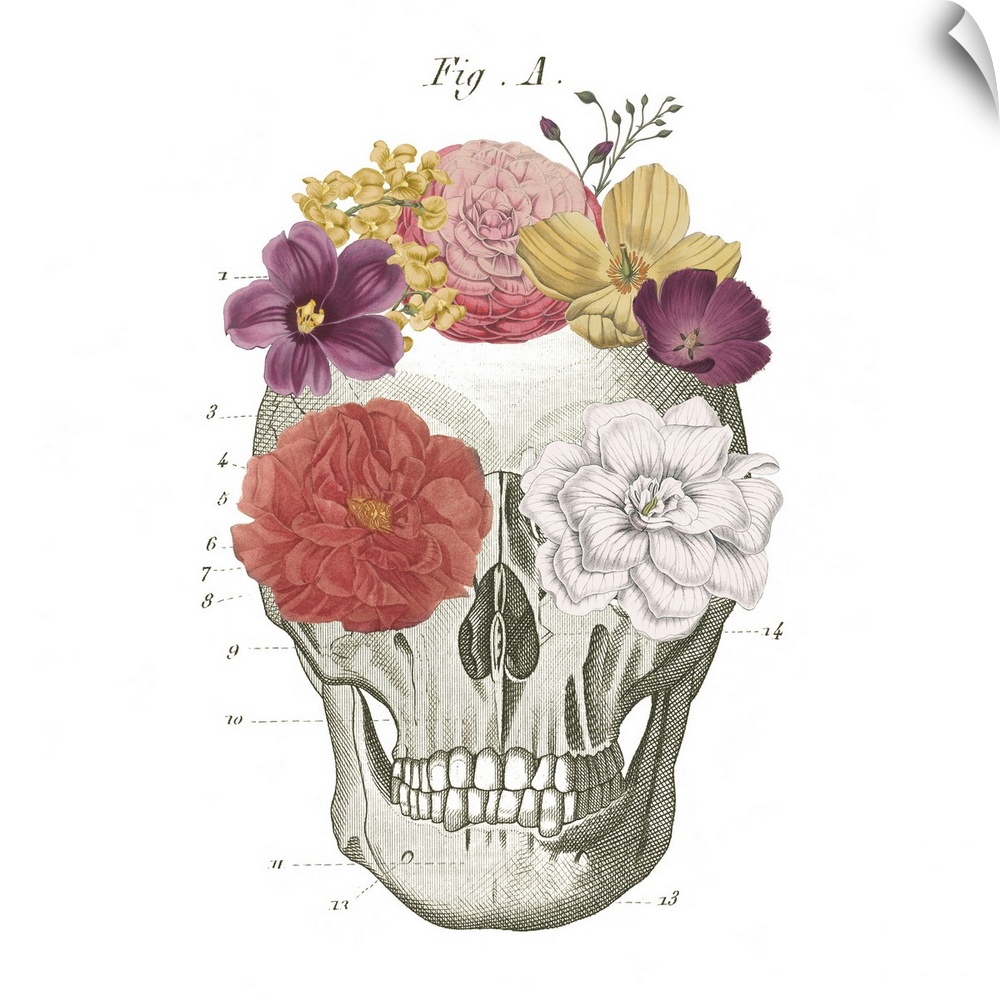 Decorative artwork of a skull diagram with flowers on the eyes and head.