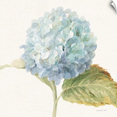 Floursack Florals V - Blue Hydrangea Crop