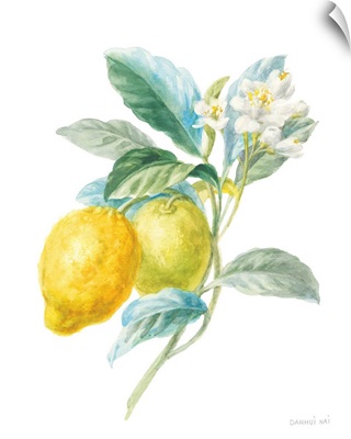 Floursack Lemon II on White