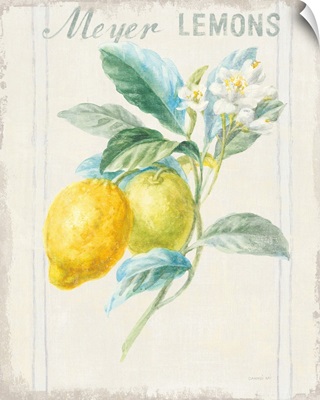 Floursack Lemon II v2