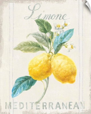 Floursack Lemon III