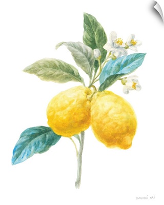 Floursack Lemon IV on White