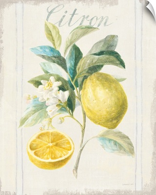 Floursack Lemon IV v2