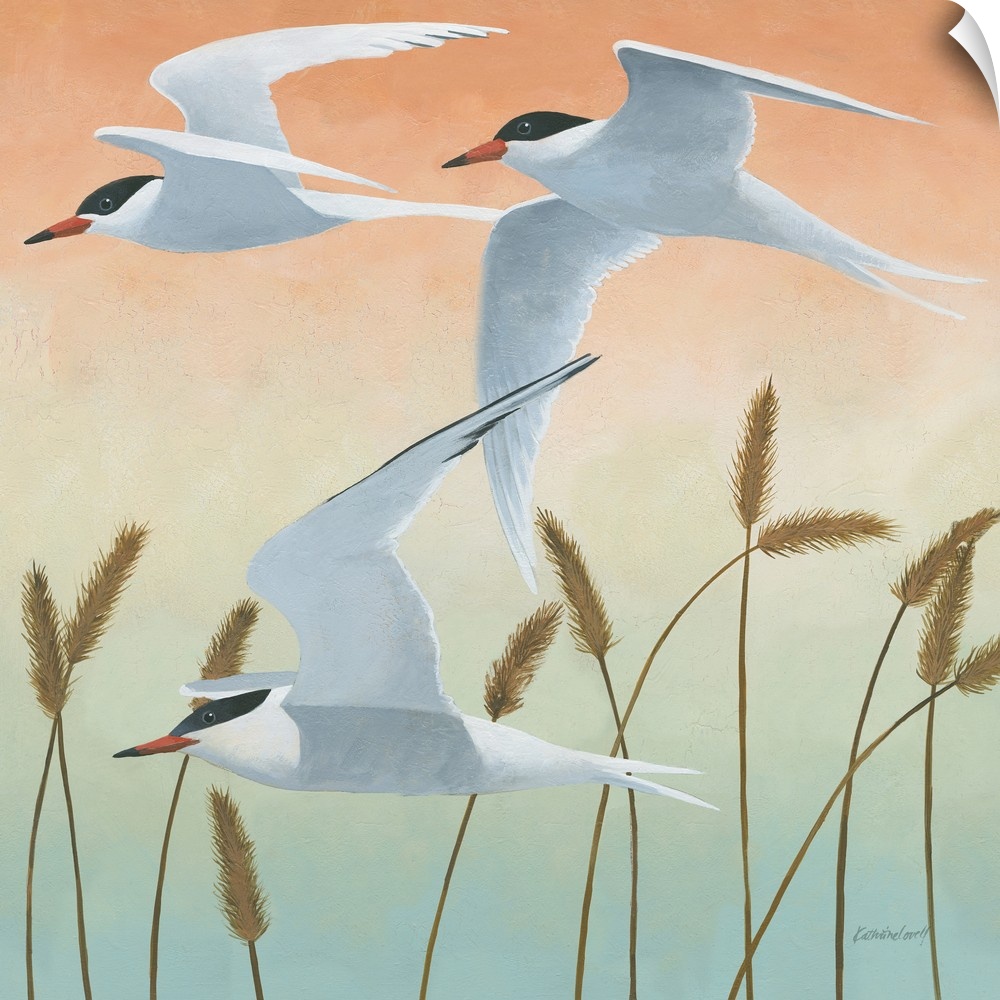 Square painting of three sea birds in flight over tall sea grass with an orange, yellow, green, and blue fading sky.