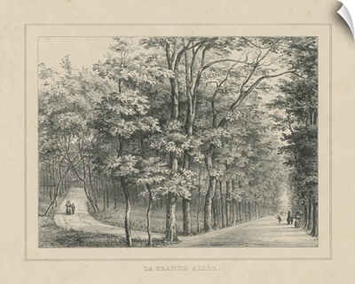 French Park Etching II