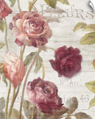 French Roses II