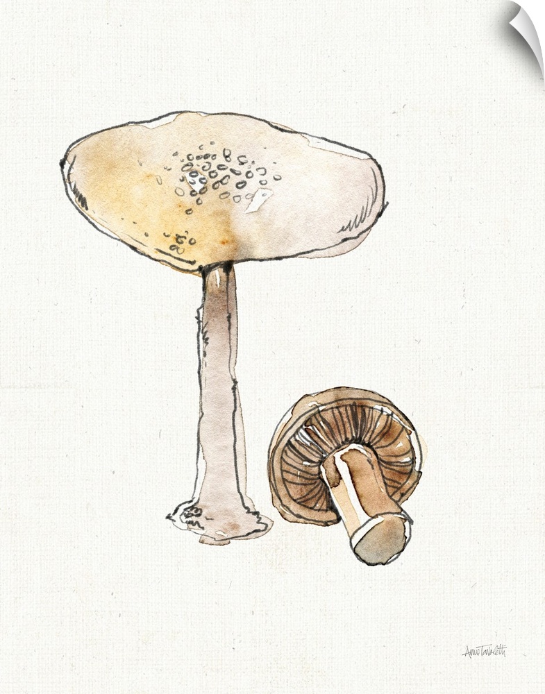 Fresh Farmhouse Mushrooms IV