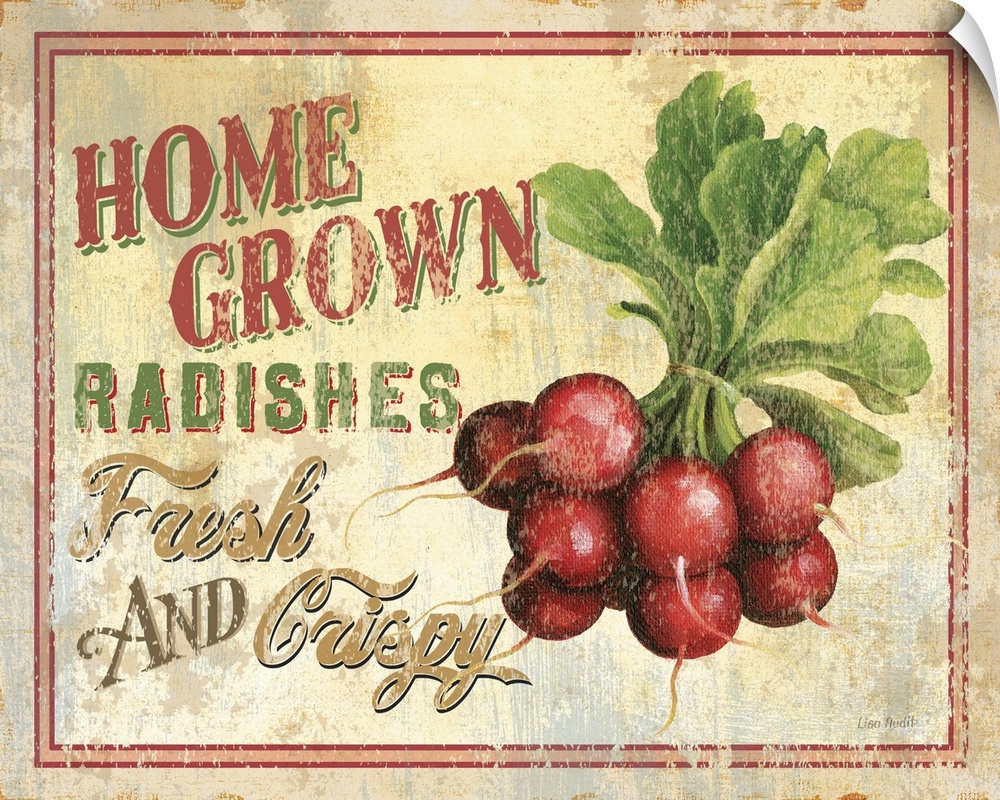 Contemporary artwork of a vintage looking sign with radishes to the right of the image and text to the left.