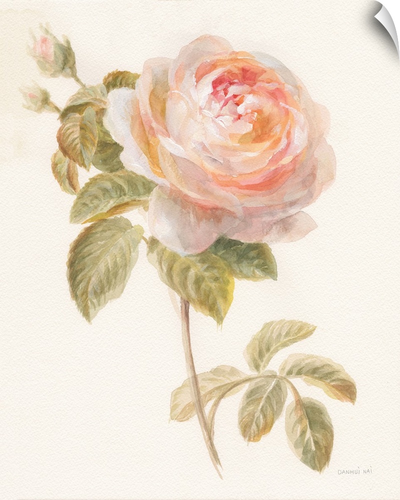 Contemporary artwork of watercolor garden flower over a soft textured background.