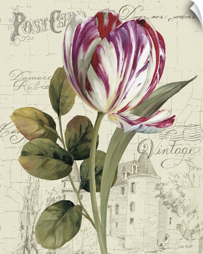 A tulip is largely painted against an antique post card with a large stone house in the background.
