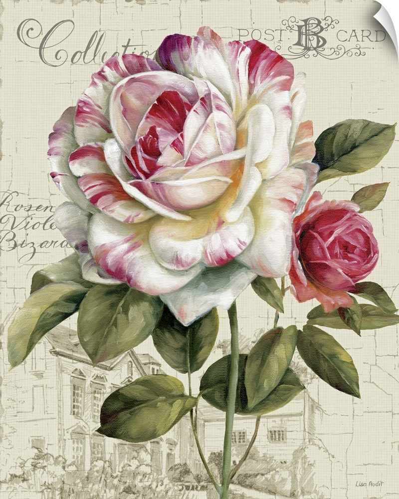 Large canvas of a painted flower on top of a neutral background with a sketch of a house and writing overlaid.