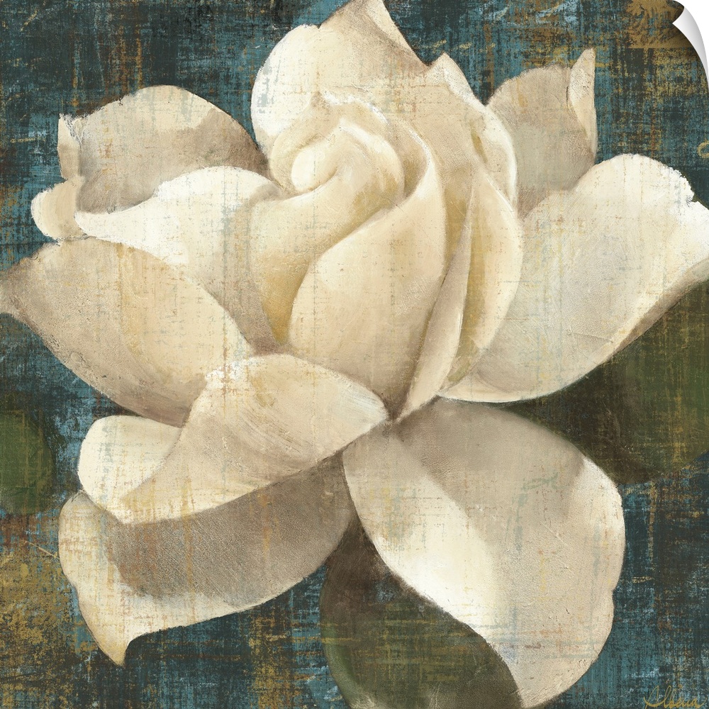 Contemporary drawing of a large cream color gardenia blossom on a textured dark background.