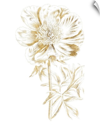 Gilded Botanical VIII