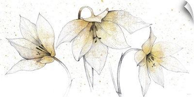Gilded Graphite Floral Trio