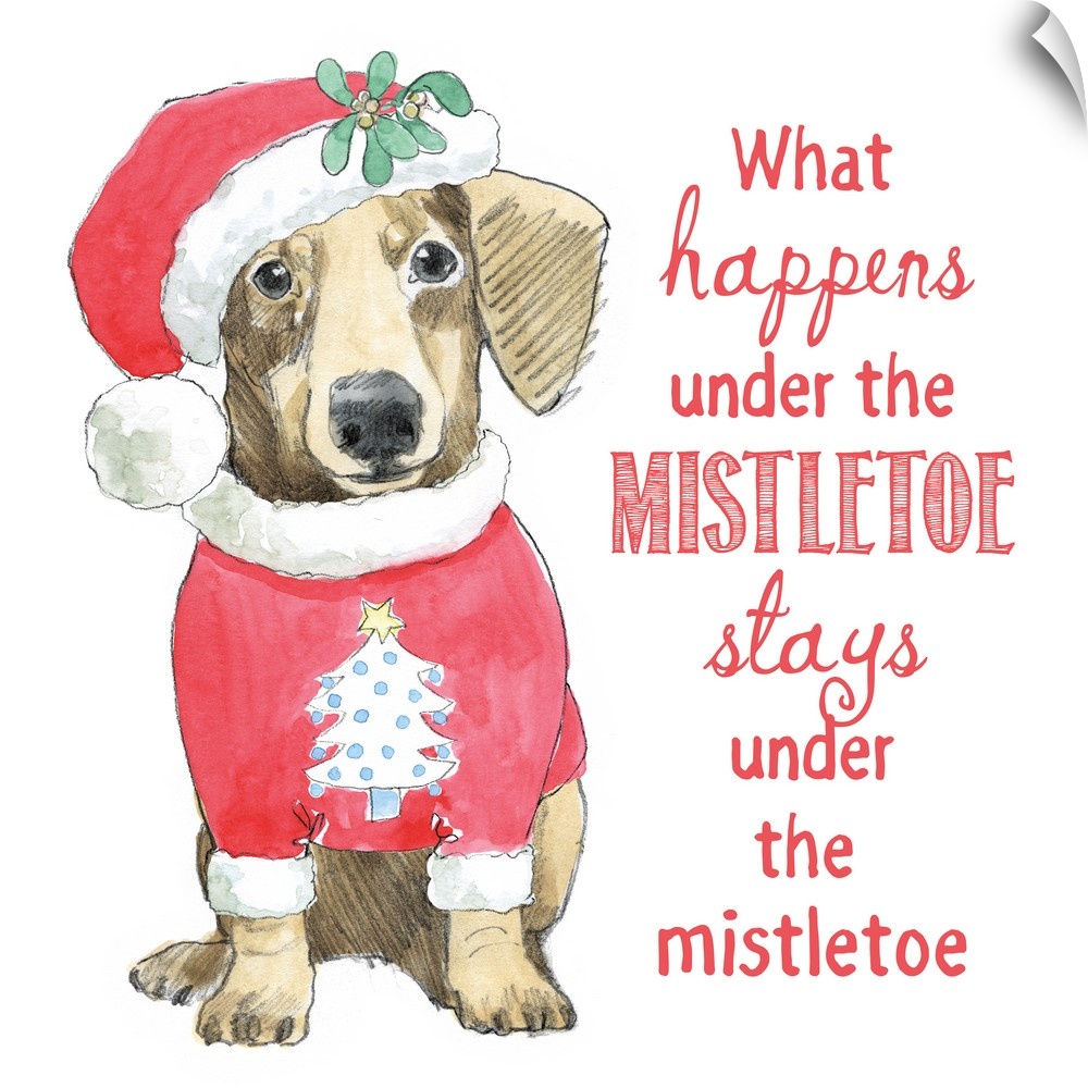 Square watercolor painting of a Dachshund wearing a Christmas tree sweater with a Santa hat that is decorated with mistlet...