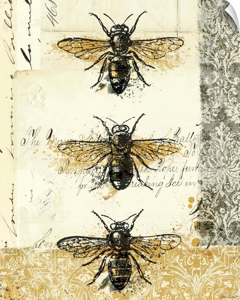 Contemporary artwork of three insects lined from top to bottom, on golden and weathered looking background.