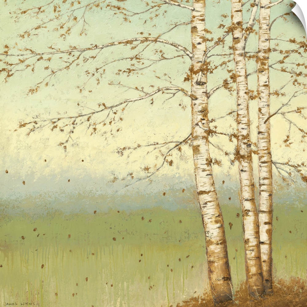 Square painting on a giant wall hanging of several birch trees dropping what's left of their golden leaves, a grassy meado...